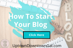 How To Start a Blog on Meet the Gal