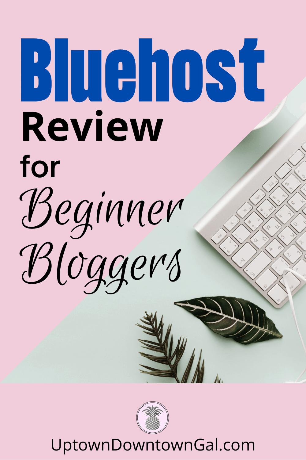 Bluehost Review for Beginner Bloggers